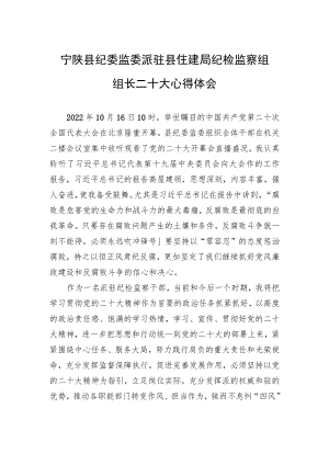 宁陕县纪委监委派驻县住建局纪检监察组组长二十大心得体会（20221019）.docx