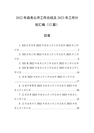 2022年政务公开工作总结及2023年工作计划汇编（12篇）.docx