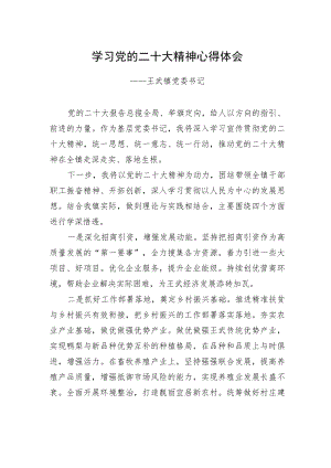 王武镇党委书记学习二十大精神心得体会（20221219）.docx