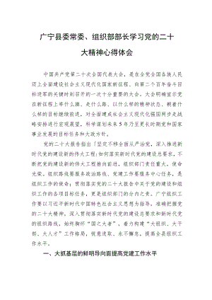 广宁县委常委、组织部部长学习党的二十大精神心得体会（20221108）.docx