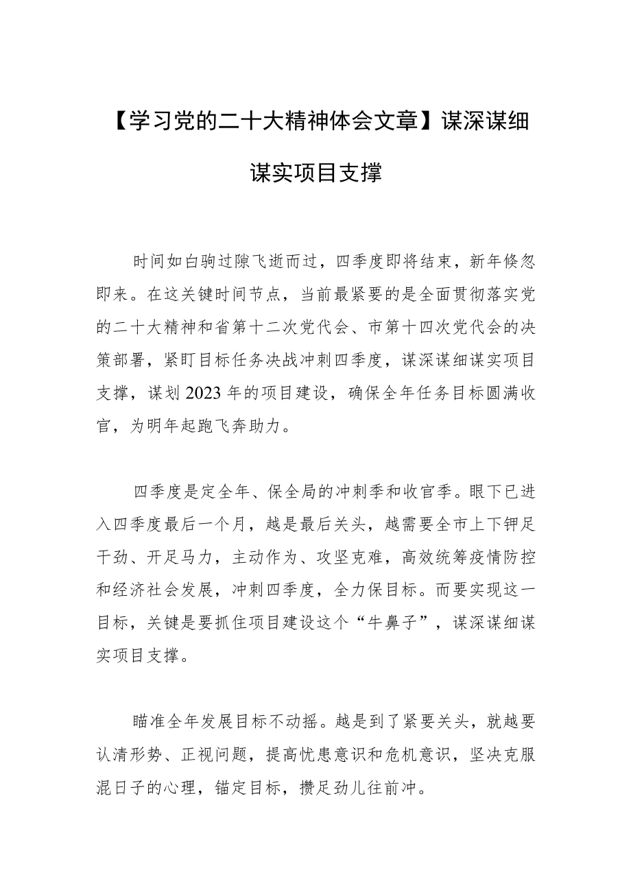 【学习党的二十大精神体会文章】谋深谋细谋实项目支撑.docx_第1页