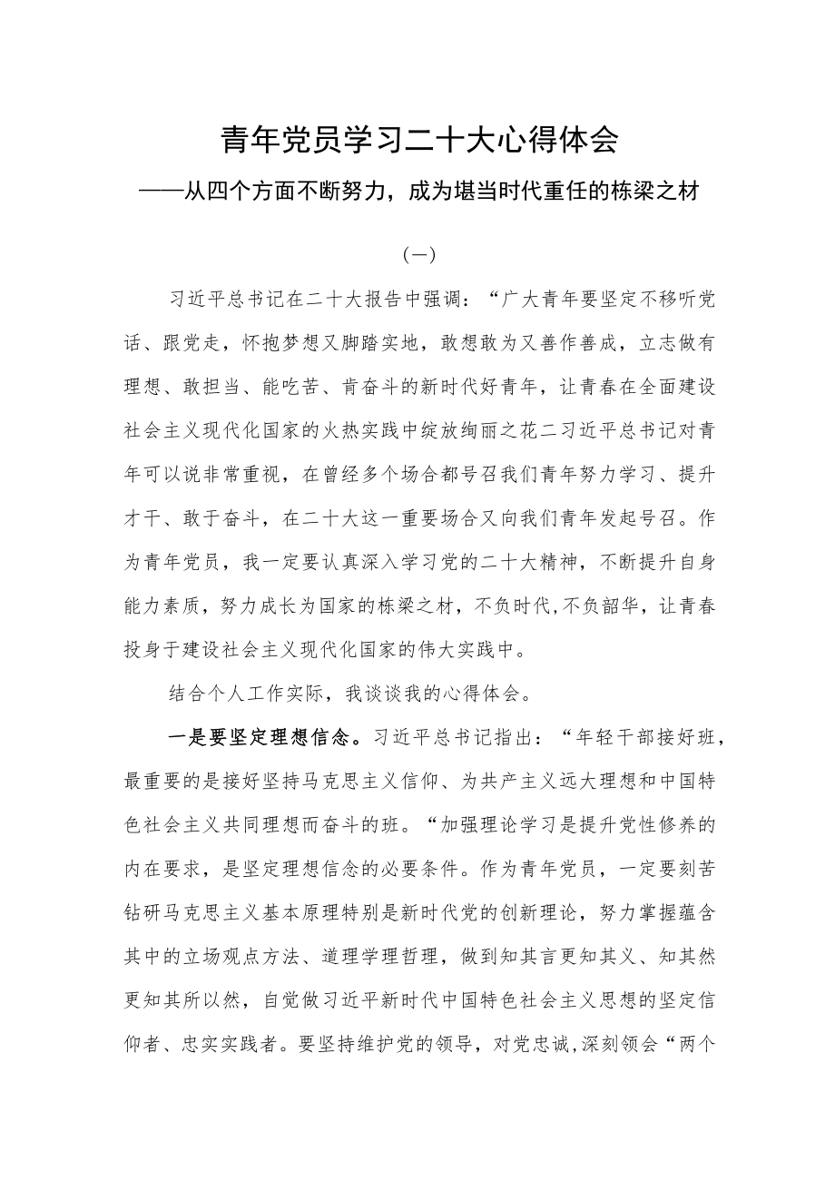 （4篇）青年党员学习贯彻党的二十大精神研讨交流心得体会.docx_第1页