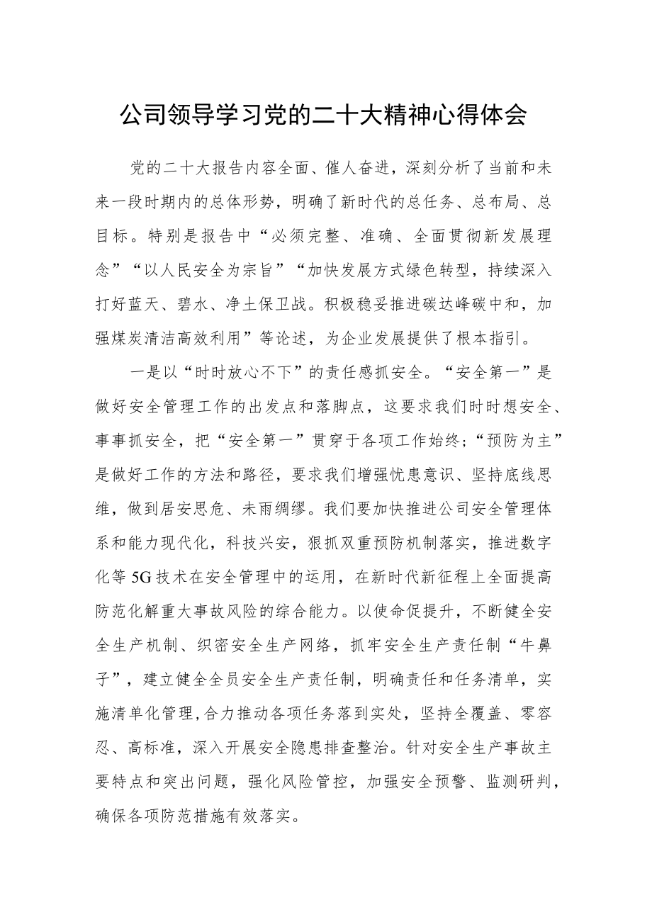 公司领导学习党的二十大精神心得体会.docx_第1页