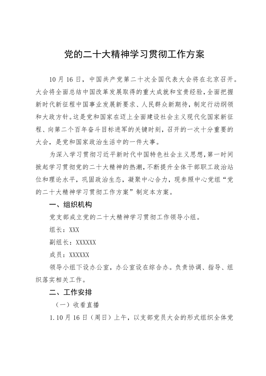 党的二十大精神学习贯彻工作方案.docx_第1页