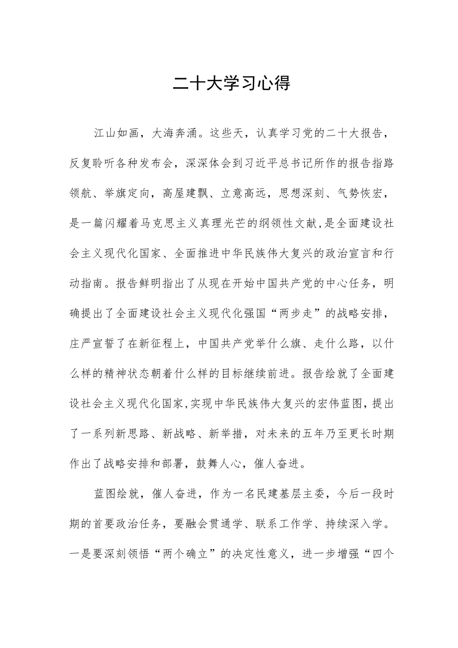 二十大学习心得.docx_第1页