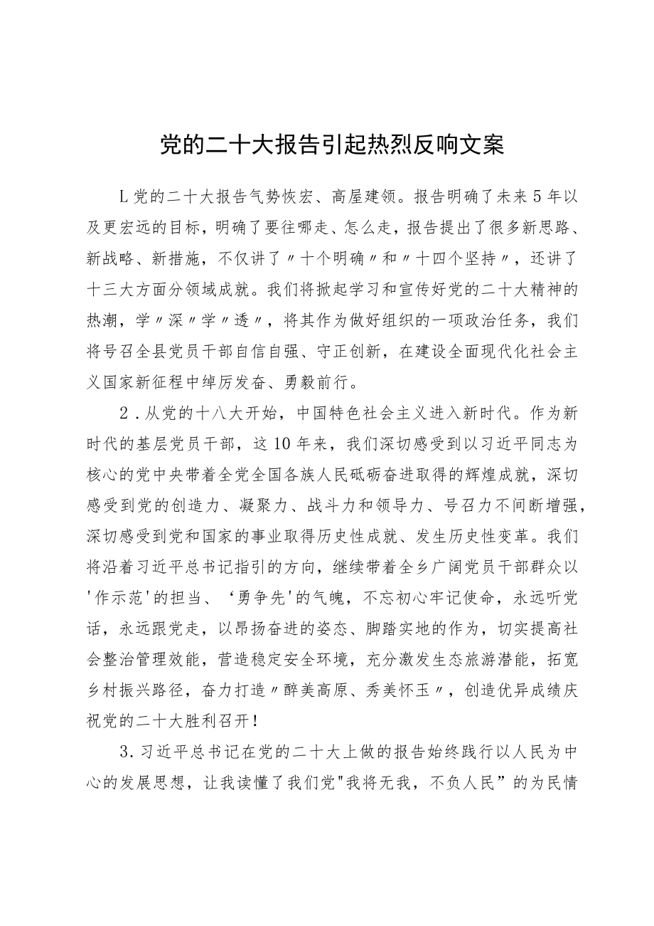 党的二十大报告引起热烈反响文案.docx_第1页