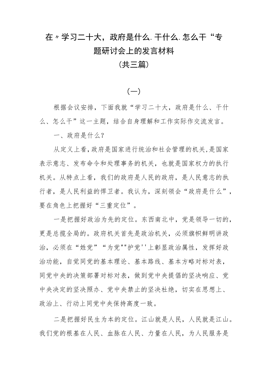 在“学习二十大政府是什么、干什么、怎么干”专题研讨会上的发言材料共三篇.docx_第1页