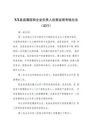 XX县县属国有企业负责人经营业绩考核办法（试行）.docx