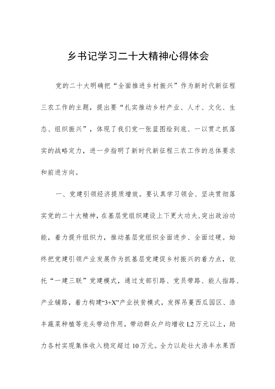 乡书记学习二十大精神心得体会.docx_第1页