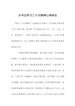 乡书记学习二十大精神心得体会.docx