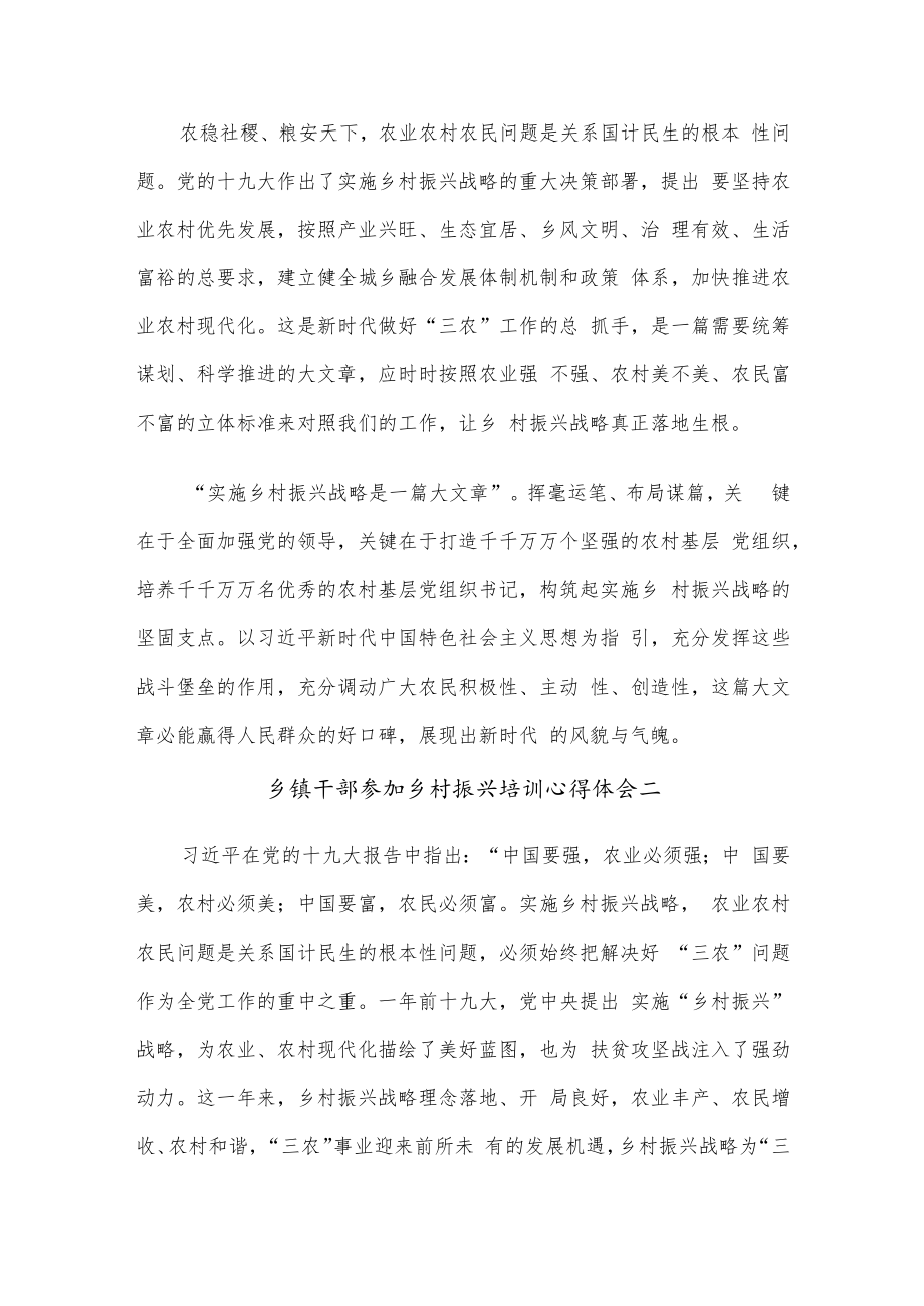 (5篇)乡镇干部参加乡村振兴培训心得体会范文.docx_第2页