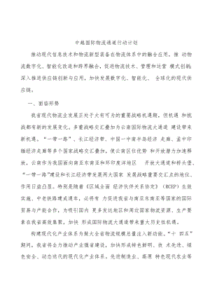 中越国际物流通道行动计划.docx