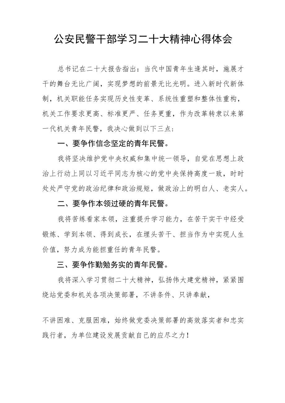 公安民警干部学习二十大精神心得体会五篇.docx_第2页