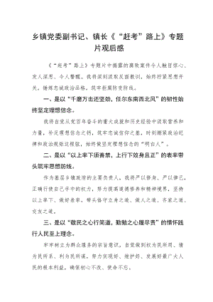 乡镇党委副书记、镇长《“赶考”路上》专题片观后感.docx