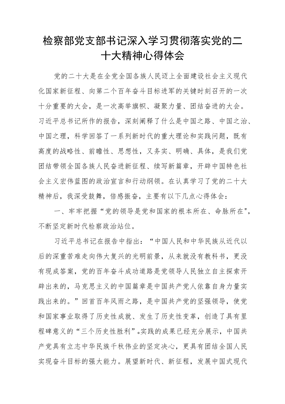 检察部党支部书记深入学习贯彻落实党的二十大精神心得体会.docx_第1页