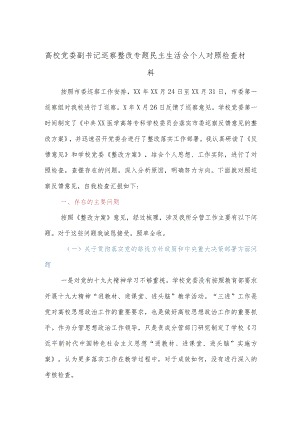 高校党委副书记巡察整改专题民主生活会个人对照检查材料.docx