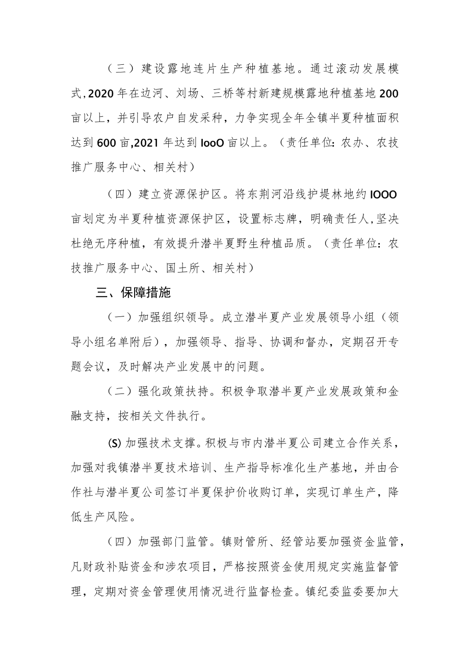 乡镇潜半夏产业发展实施方案.docx_第2页