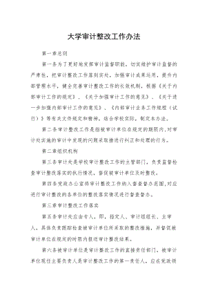 大学审计整改工作办法.docx