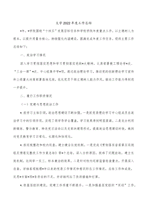 大学2022年度工作总结.docx