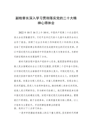 副检察长深入学习贯彻落实党的二十大精神心得体会.docx