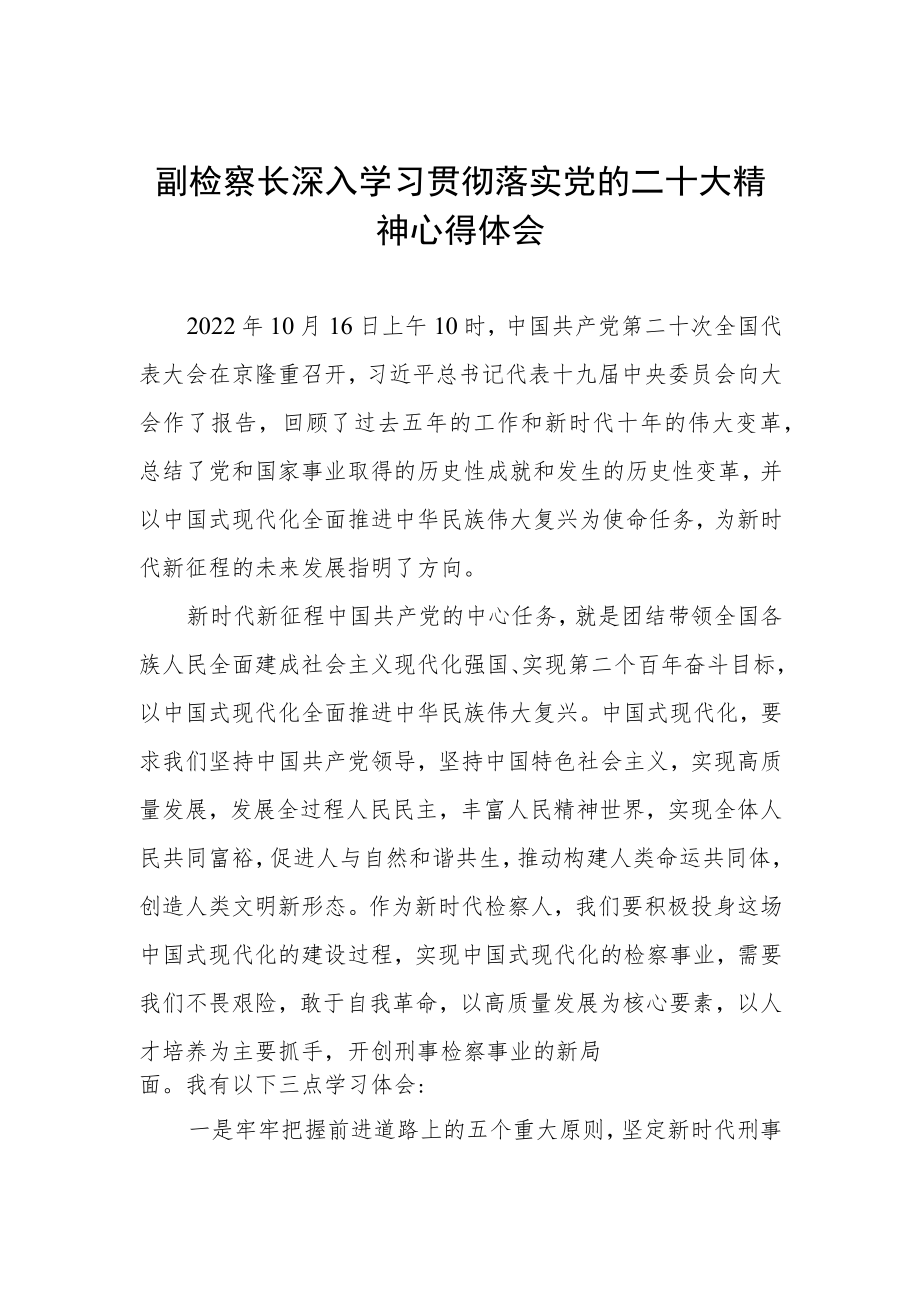 副检察长深入学习贯彻落实党的二十大精神心得体会.docx_第1页