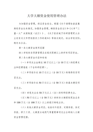 大学大额资金使用管理办法.docx