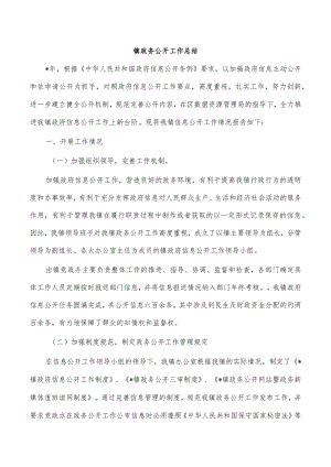 镇政务公开工作总结.docx