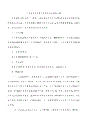 公司反馈问题整改专题生活会实施方案.docx