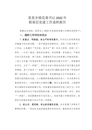 某某乡镇党委书记2022年抓基层党建工作述职报告.docx