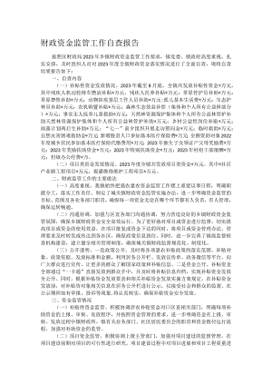 财政资金监管工作自查报告.docx