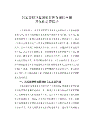 某某高校预算绩效管理存在的问题及优化对策探析.docx