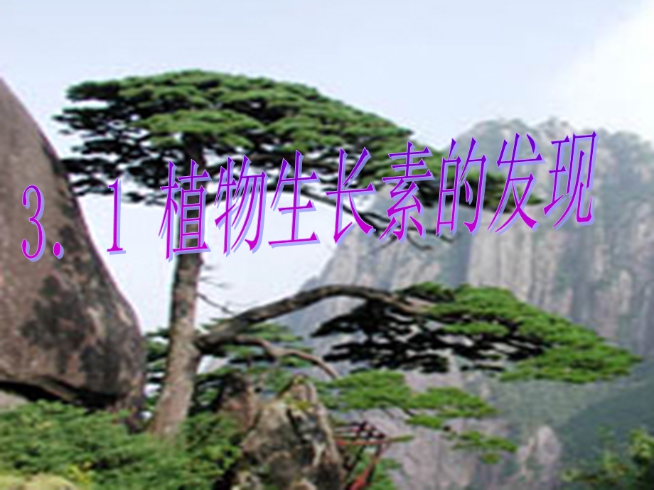 植物生长素的发现公开课.ppt_第1页