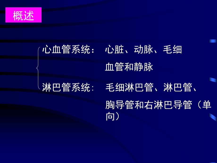 循环系统课件.ppt_第2页