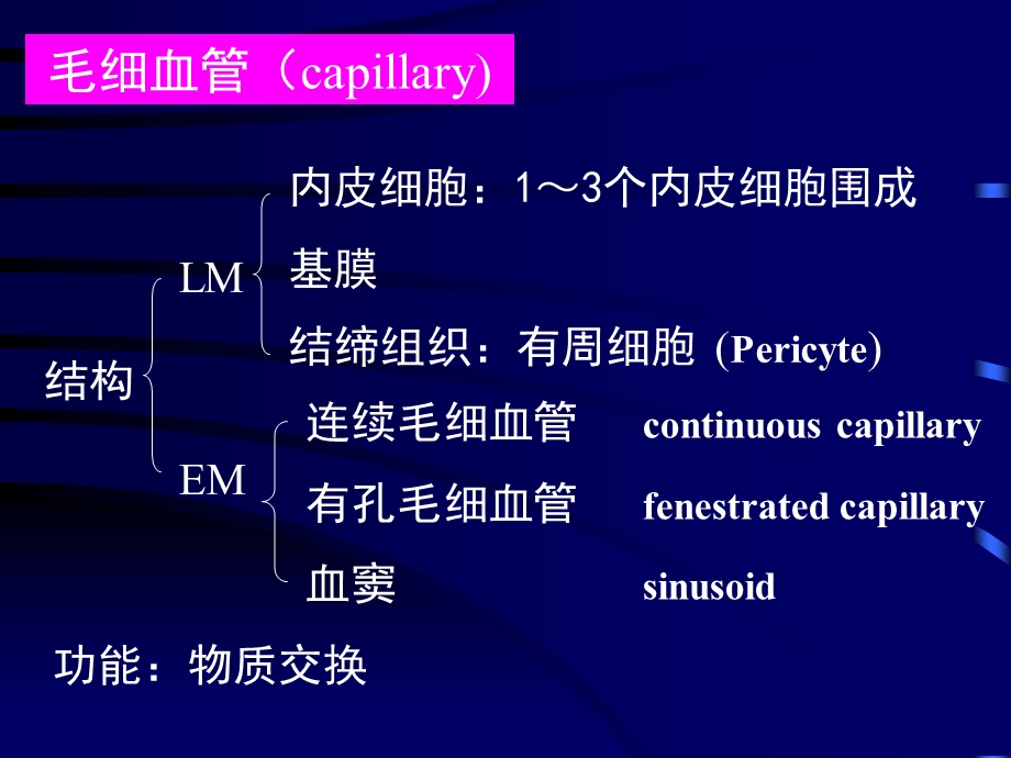 循环系统课件.ppt_第3页