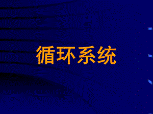 循环系统课件.ppt