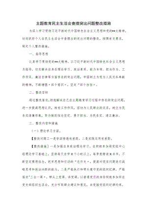 主题教育民主生活会查摆突出问题整改措施.docx