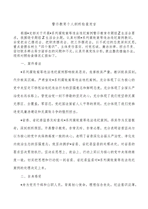 警示教育个人剖析检查发言.docx