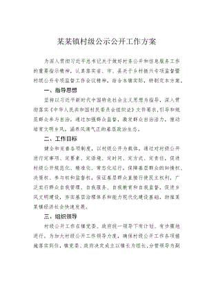 某某镇村级公示公开工作方案.docx