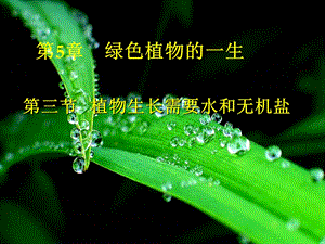 植物生长需要水和无机盐.ppt