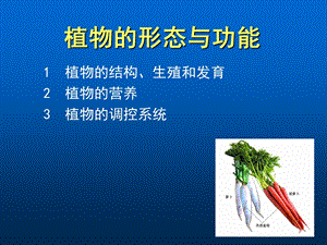 植物的形态与功能.ppt