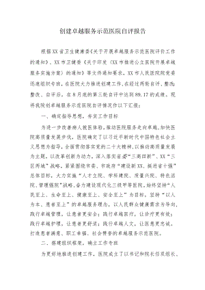 创建卓越服务示范医院自评报告.docx