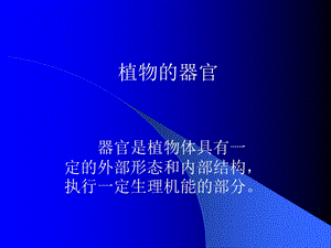 植物的器官.ppt