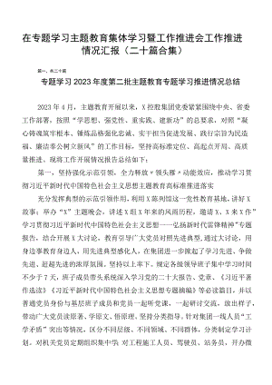 在专题学习主题教育集体学习暨工作推进会工作推进情况汇报（二十篇合集）.docx