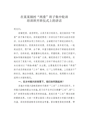 在某某镇村“两委”班子集中轮训培训班开班仪式上的讲话.docx