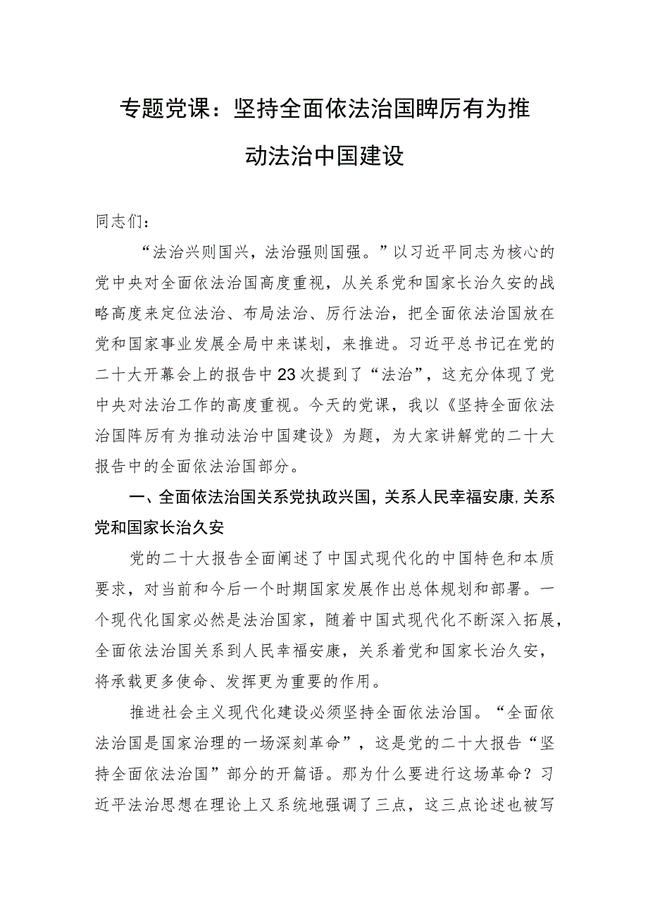 专题党课：坚持全面依法治国踔厉有为推动法治中国建设 .docx_第1页