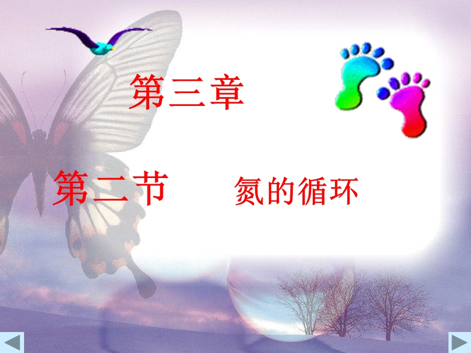 氮的循环课件.ppt_第1页