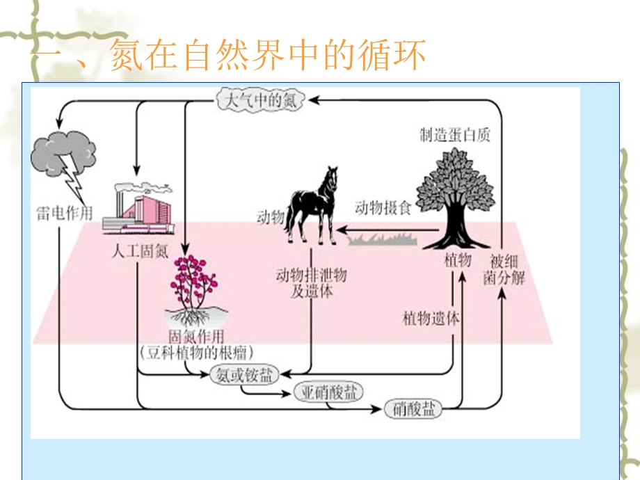 氮的循环课件.ppt_第3页