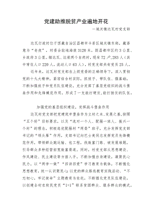 29.达瓦村感动卡若 修改版.docx