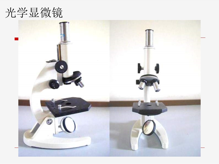 显微镜的结构及使用方法.ppt_第2页