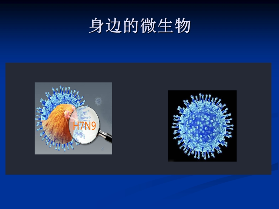 科学微观世界.ppt_第2页